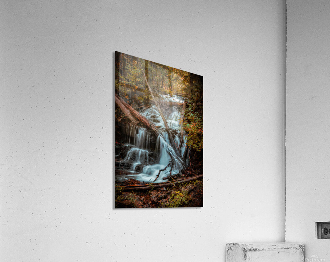 Autumns Liquid Symphony Acrylic Print