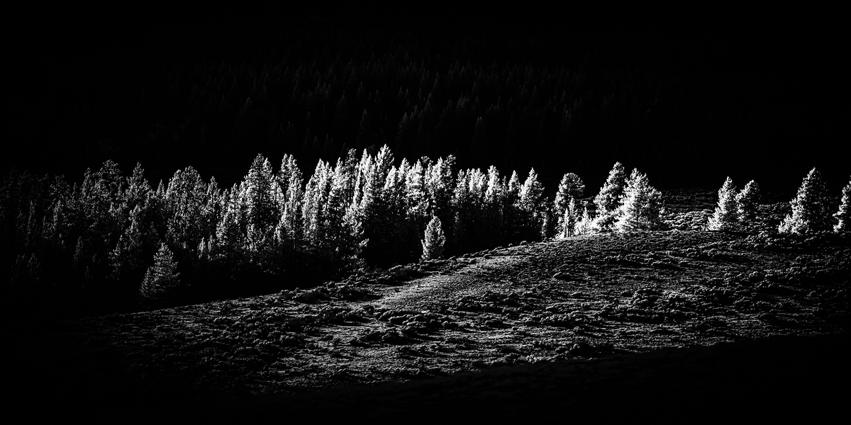 Impression de cadre personnalisé