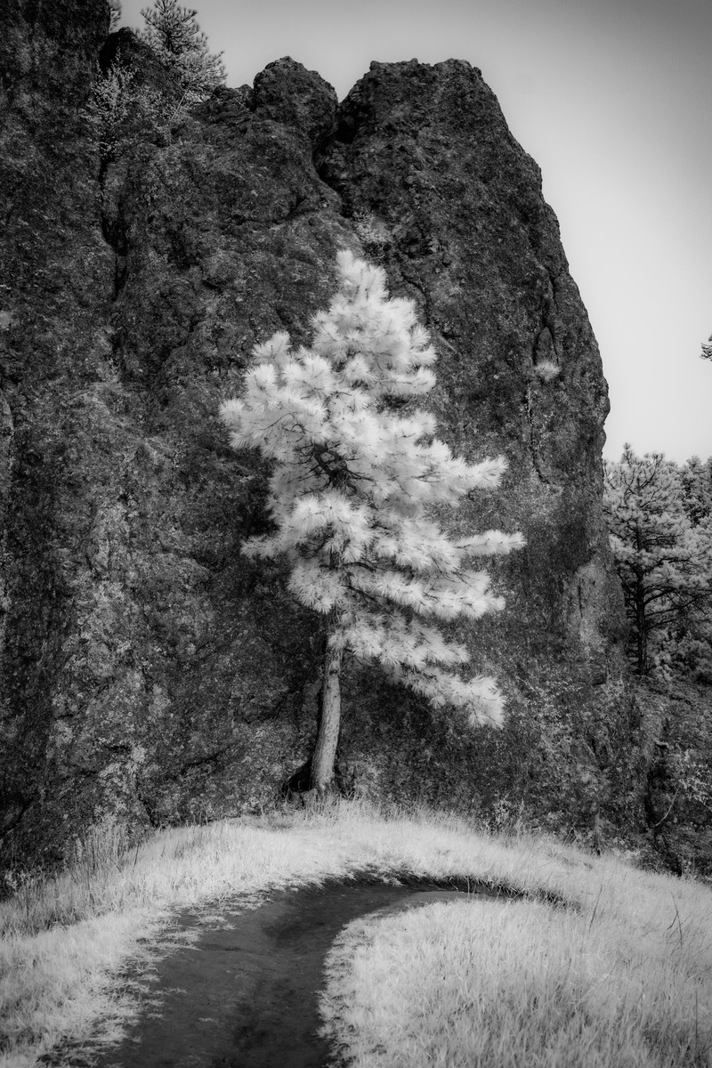 Impression de cadre personnalisé