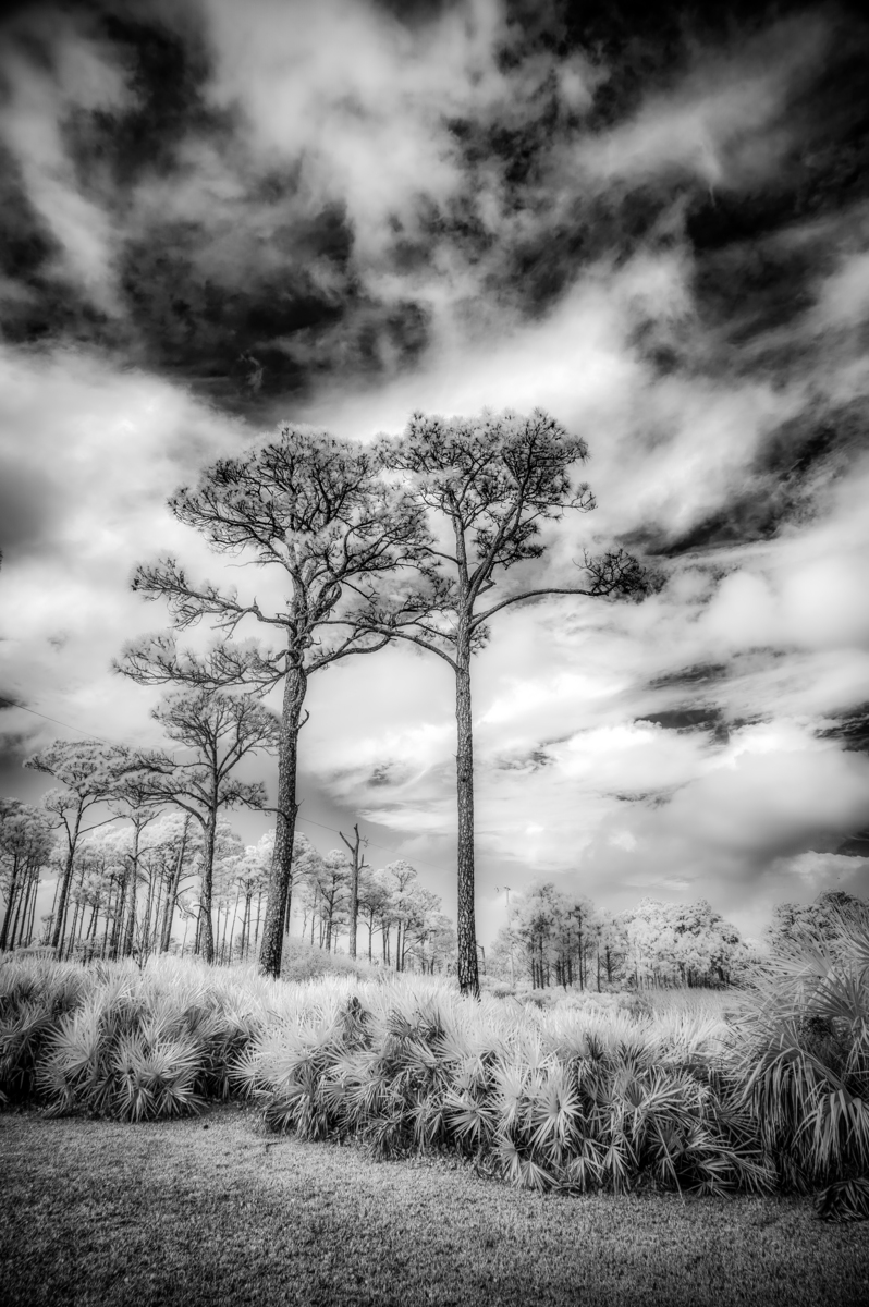 Impression de cadre personnalisé