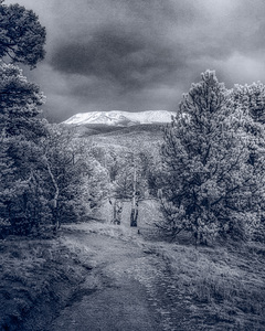 Mueller Aspen Series: Mountain Trail Tranquility