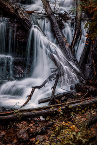 Liquid Light Through Natures Framework