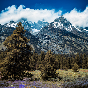 Teton Grandeur   Mountain Cathedra by Dream World Images