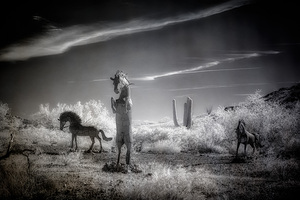 Desert Ballet of Metallic Steeds by Dream World Images