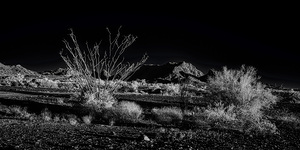 Deserts Silent Play of Light and Shadow