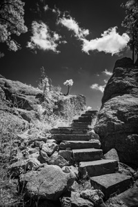 Stairway to Tranquility: Black and White Stairway in Sylvan Lake