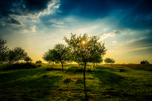 Golden Hour Symphony: Trostle Farms Enchanting Ambiance at Getty by Dream World Images