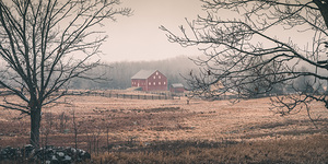Russet Barn  Pano