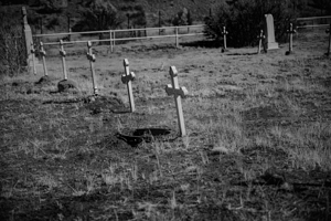 Stillness Among White Crosses