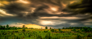 Storms Golden Whispers