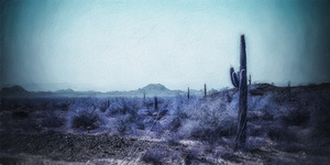 Painted Silent Horizon by Dream World Images