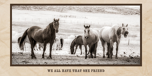 Wild Bonds  We All Have That One Friend by Dream World Images