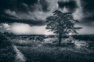 Storm Watch at Little Round Top by Dream World Images
