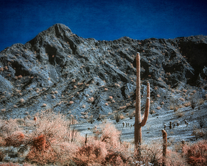 Surreal Desert in Blush and Indigo