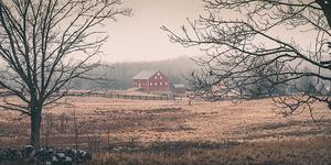 Russet Barn  Pano