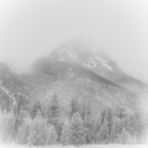 Misty Mountain Veil   Alpine Whispers by Dream World Images