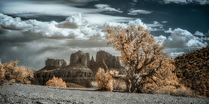 Solitary Desert Dreams