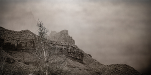 Desert Sentinel Mists by Dream World Images