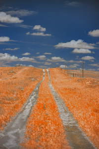 Copper Prairie Path
