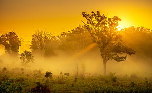 Misty Morning Glow: Dawn in Gettysburg