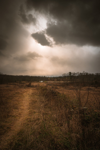 Hazel Row by Dream World Images