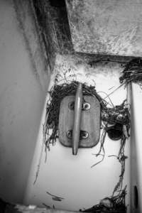 Monochrome Marine: Exploring Boat Details by Dream World Images