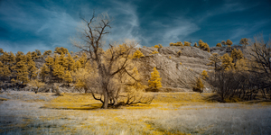 A Tranquil Escape: Red Rock Canyon Open Space in Golden Infrared Splendor by Dream World Images