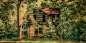 Unveiling the Mysteries of Brooms Island:  Abandoned by Dream World Images