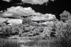 Garden of the Gods - 5 by Dream World Images