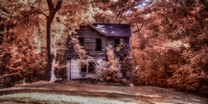 Unveiling the Mysteries of Brooms Island:  Forgotten by Dream World Images