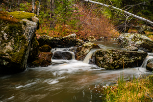 Enchanting Cascades: A Hikers Discovery Along Grace Coolidge Creek
