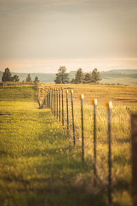 Montana Fenceline