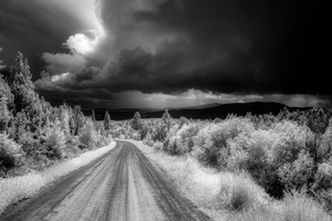 Whispers of a Storm-Heavy Sky