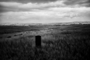 Alone Forever by Dream World Images