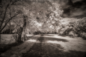 Invisible Texas Trail