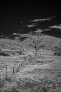 Whispers of Isolation in Monochrome