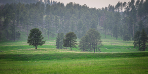 Serene Countryside Dreams 