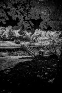 Bridge of Ephemeral Elegance by Dream World Images