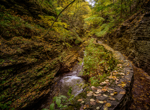 Autumn In the Gorge by Dream World Images