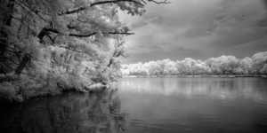 Infrared Killens by Dream World Images