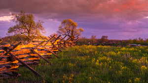 Sunset Fence by Dream World Images