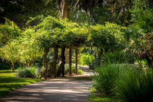 Rainbow Springs Path by Dream World Images