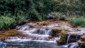 Tranquil Cascades: A Quaint Ducks Tale Upstream from Niagara Falls by Dream World Images