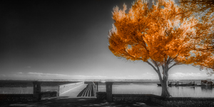 Surreal boardwalk by Dream World Images