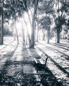 Lighted Bench by Dream World Images