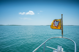 Great loop bow by Dream World Images