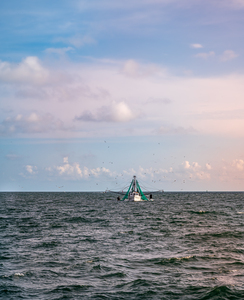 Fishing for Birds by Dream World Images