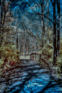 Vivid Trails: A Colorful Infrared Journey at Knox Dam