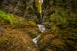 Autumns Hidden Symphony