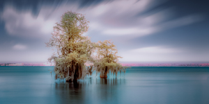 Big Brother by Dream World Images